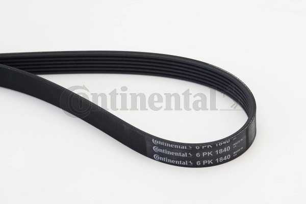 V-ribbed Belt